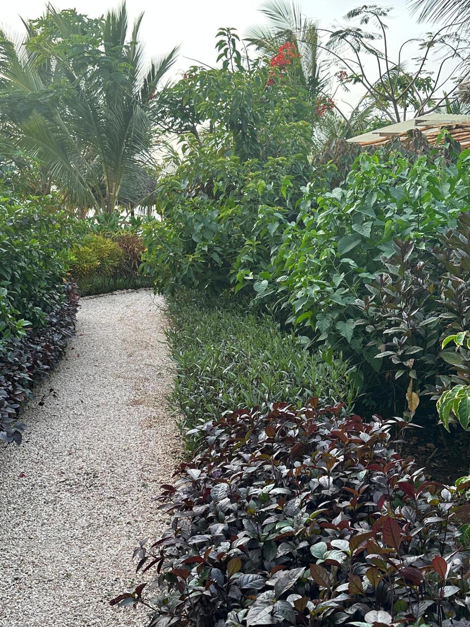 Kidoti Bay Hotel Ngoại thất bức ảnh
